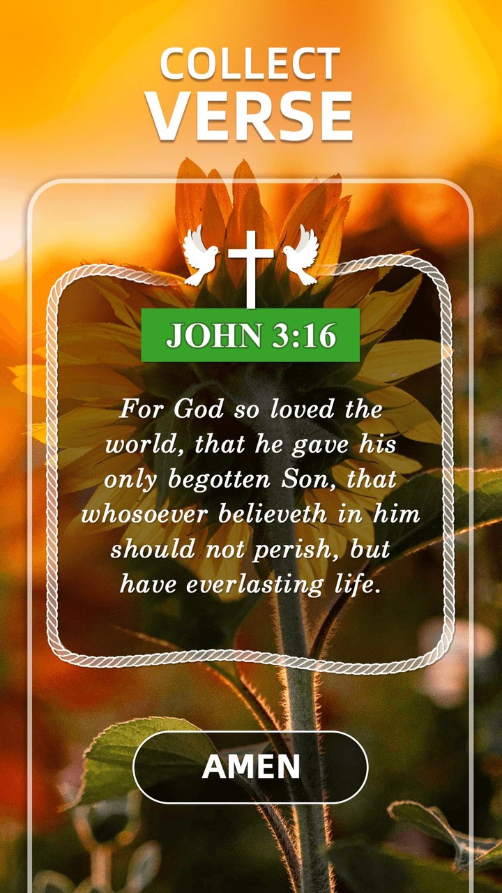 Cacheta Vamos - Jogo de pôquer screenshot image 6_Popularmodapk.com