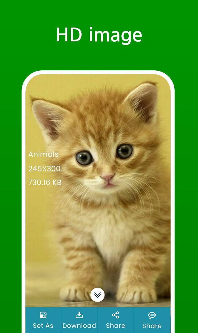 Animal Ringtones & Wallpapers screenshot image 6_Popularmodapk.com