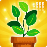 盆栽培植放置游戏破解版<span>(mod)</span>1.1.1_Popularmodapk.com