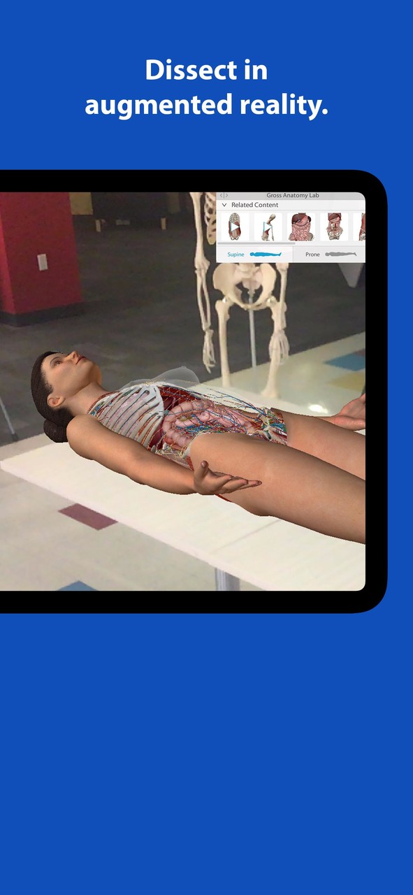 Human Anatomy Atlas 2022＋ screenshot image 6_Popularmodapk.com