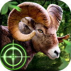 荒野猎手破解版<span>(mod)</span>1.0.8_Popularmodapk.com