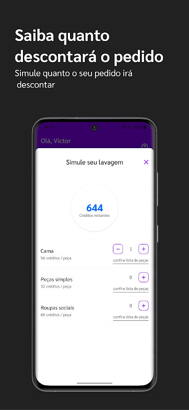 Laundry - Lavanderia Delivery screenshot image 4_Popularmodapk.com
