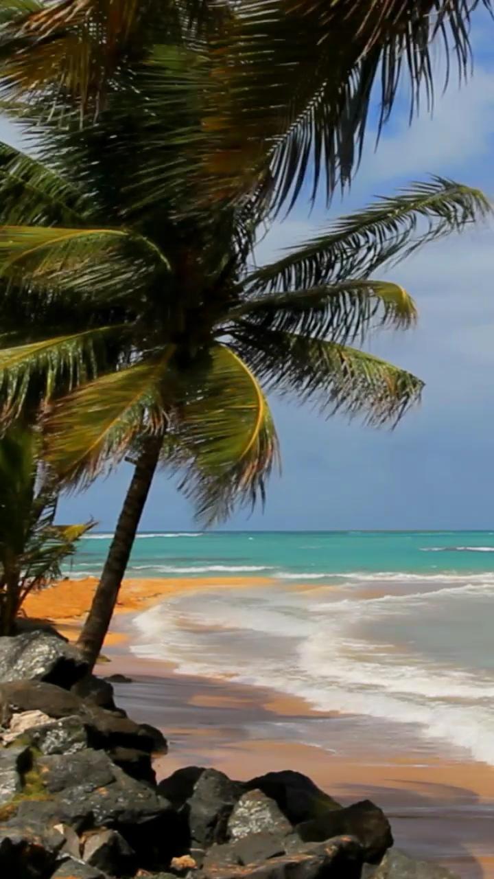 Beach and sea. screenshot image 7_Popularmodapk.com