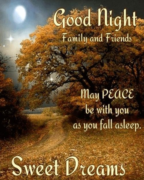 Good Night Wishes & Blessings screenshot image 8_Popularmodapk.com