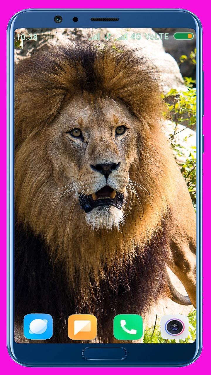 Lion HD Wallpaper screenshot image 33_Popularmodapk.com