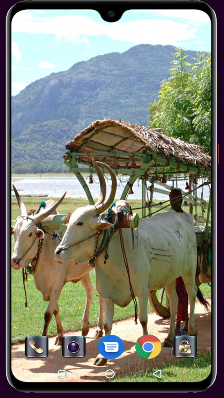 Medical Logo Maker screenshot image 30_Popularmodapk.com