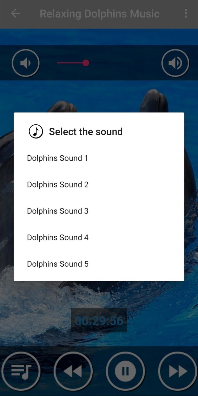 Dolphin Sounds to Sleep screenshot image 7_Popularmodapk.com
