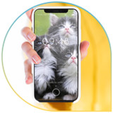 Beautiful Cats Wallpapers1.0.2_Popularmodapk.com