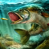Ultimate Fishing Simulator<span>(Unlimited gold coins)</span>3.6_Popularmodapk.com
