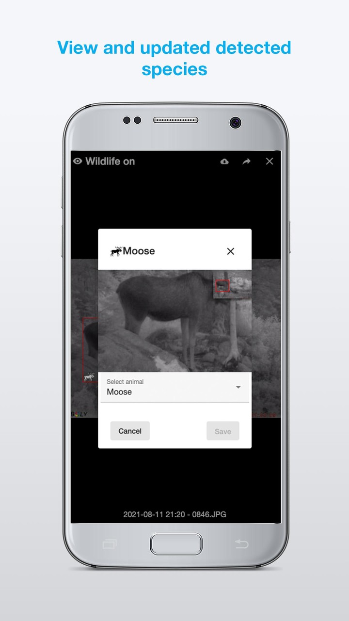 Molnus screenshot image 4_Popularmodapk.com