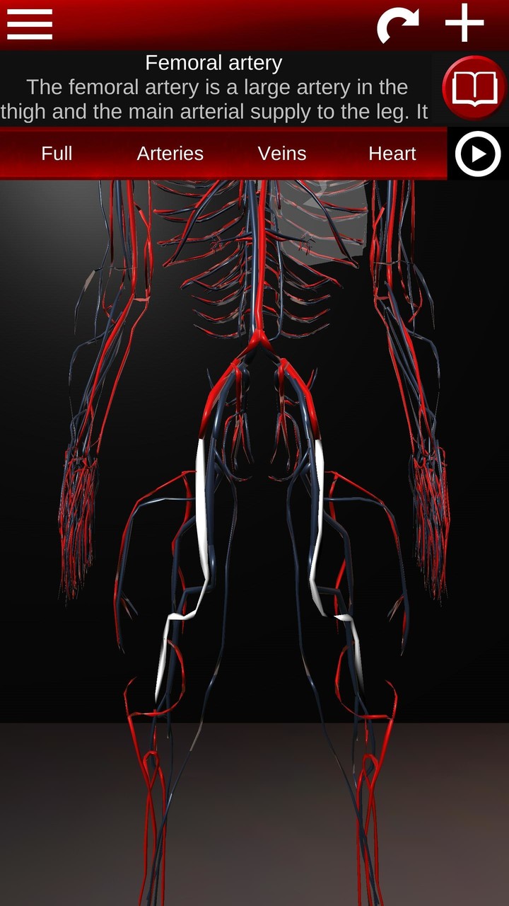 Circulatory System 3D Anatomy screenshot image 4_Popularmodapk.com