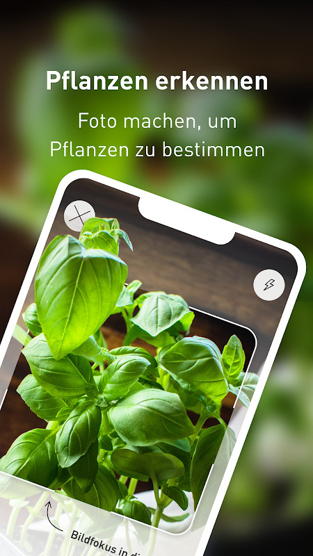 Plantura: Dein grüner Daumen screenshot image 2_Popularmodapk.com