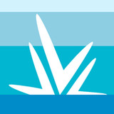 PANCREAZE Dosing Assistant App1.0.1_Popularmodapk.com