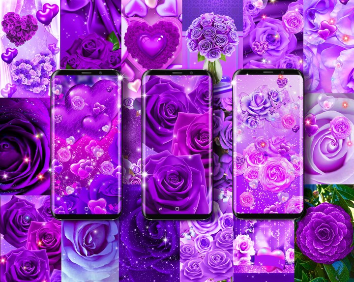 Purple rose live wallpaper screenshot image 6_Popularmodapk.com