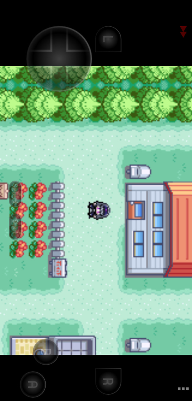 Pokemon Fiery Cute Version(Emulator port) screenshot image 2_Popularmodapk.com