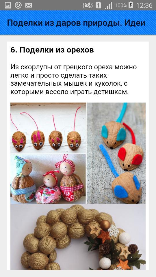Поделки из даров природы. Идеи screenshot image 7_Popularmodapk.com