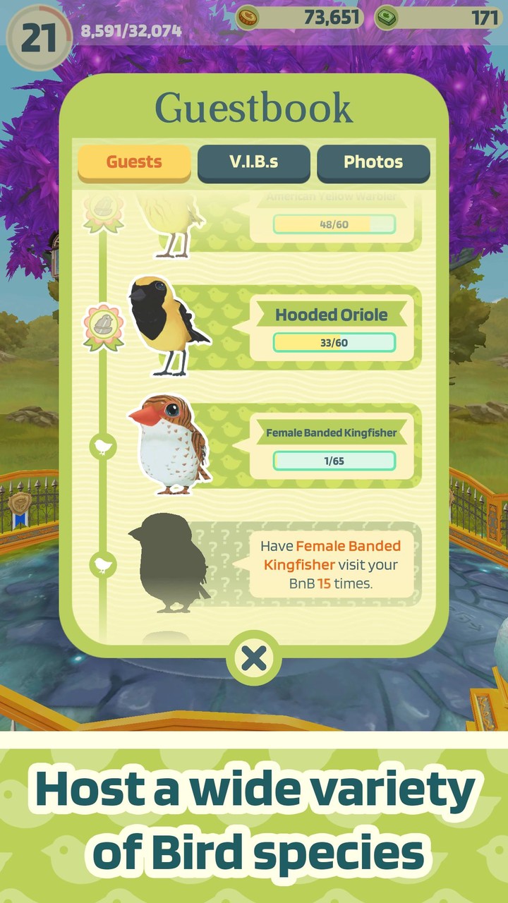 Bird Bed & Breakfast screenshot image 2_Popularmodapk.com