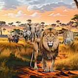 Big 5 Trivia1.1.2_Popularmodapk.com