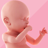 Pregnancy Tracker1.1.14_Popularmodapk.com