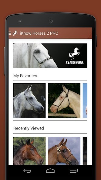 aesthetic Cool Wallpapers HD screenshot image 2_Popularmodapk.com