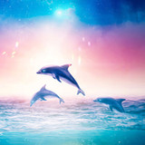 Dolphin Sounds to Sleep1.2_Popularmodapk.com
