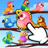 Bird Color Sort : Puzzle Game1.2.2.108_Popularmodapk.com