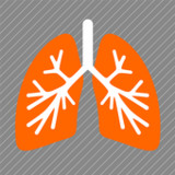 PneumoDoc3.1_Popularmodapk.com
