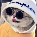 GTA Grand Theft Auto: San Andreas3.0(Mod版)_Popularmodapk.com