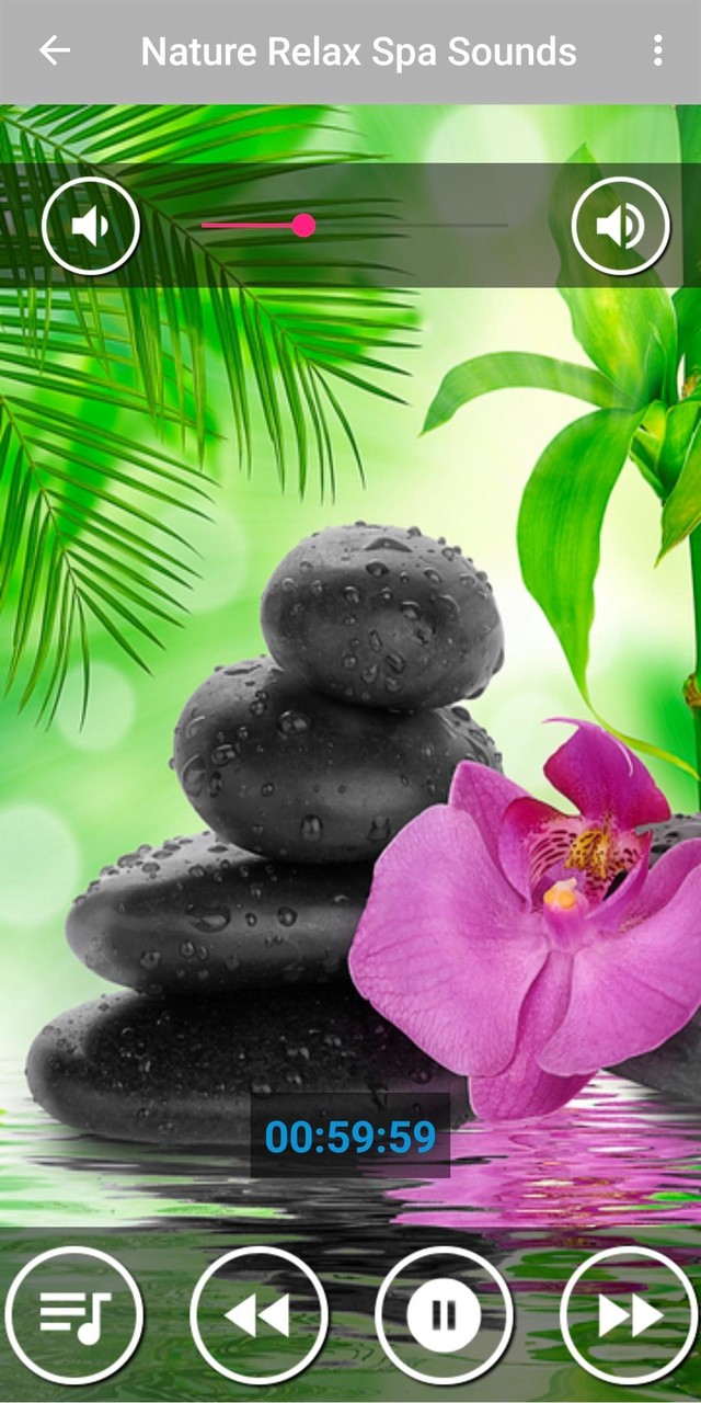 Relaxing Spa Music : Massage screenshot image 4_Popularmodapk.com