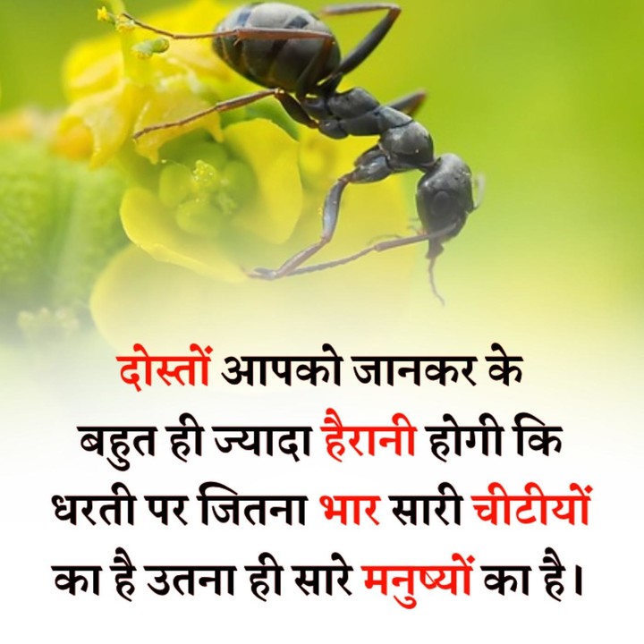 Interesting Facts Hindi screenshot image 3_Popularmodapk.com