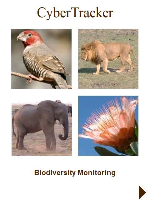 2 Pedro Bíblicos screenshot image 5_Popularmodapk.com