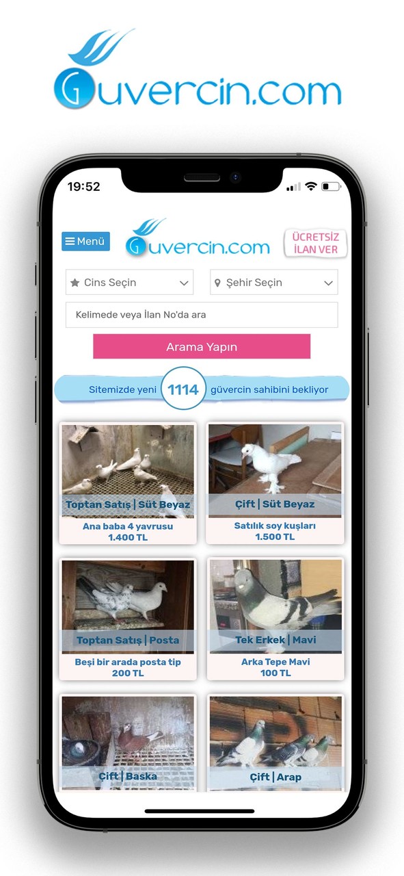 GUVERCiN.COM Güvercin İlanları screenshot image 1_Popularmodapk.com