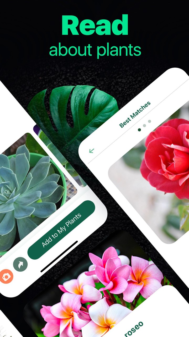 NatureID- Plant Identification screenshot image 4_Popularmodapk.com
