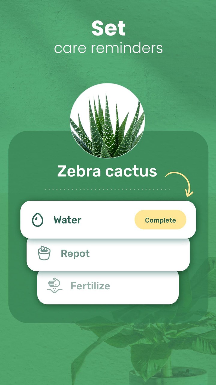 Blossom - Plant Identification screenshot image 6_Popularmodapk.com