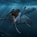 Mosasaurus Dino Simulator<span>(Unlimited coins)</span>1.2.2_Popularmodapk.com