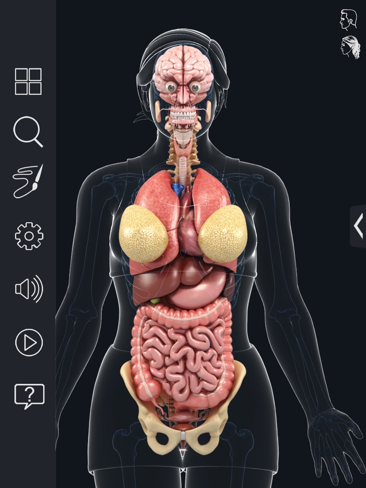 Organs Anatomy Pro. screenshot image 12_Popularmodapk.com