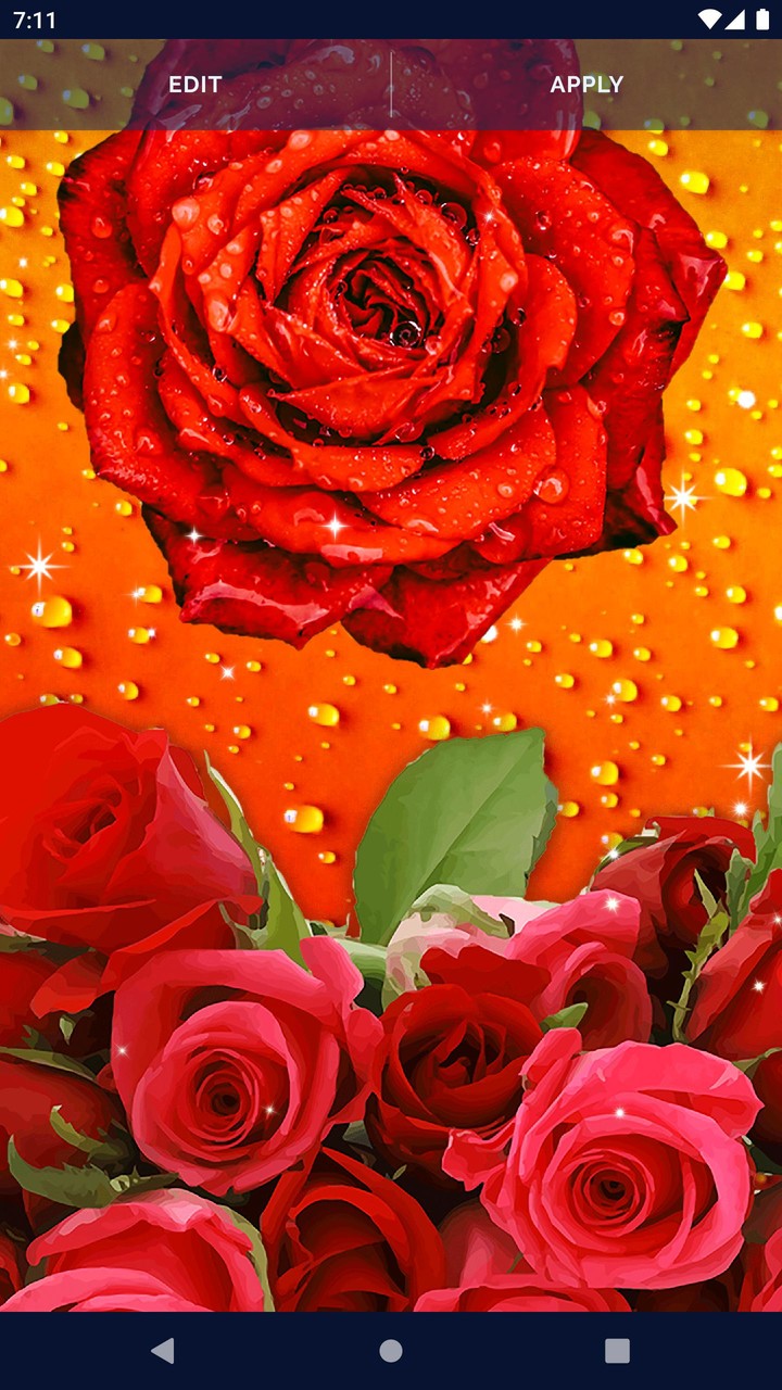 3D Red Rose Live Wallpaper screenshot image 4_Popularmodapk.com