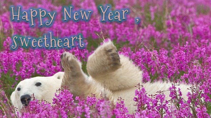 Happy NewYear Greeting Cards screenshot image 12_Popularmodapk.com