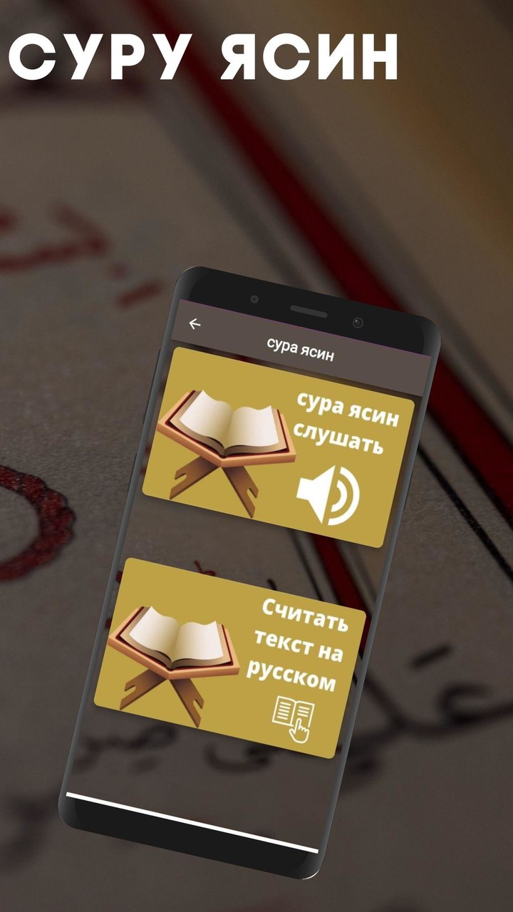 сура ясин скачать на телефон screenshot image 6_Popularmodapk.com