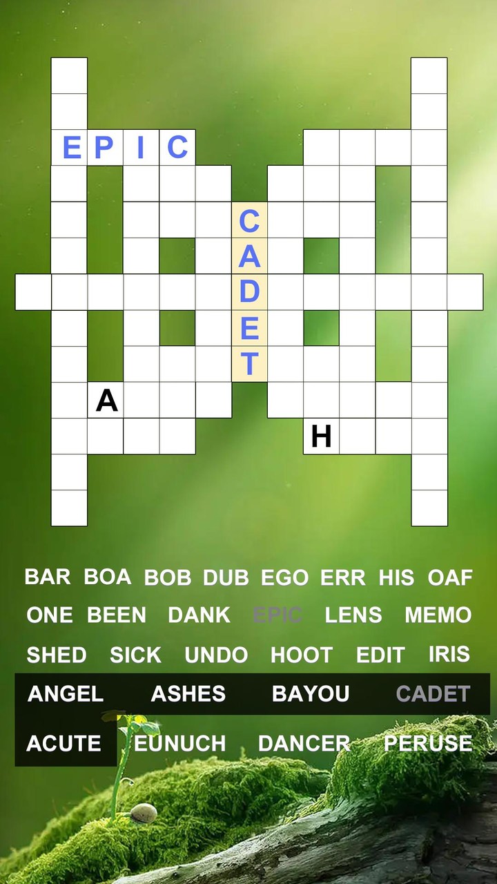 Fill In Crossword Puzzles screenshot image 5_Popularmodapk.com