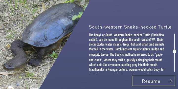 Smart Canning screenshot image 3_Popularmodapk.com